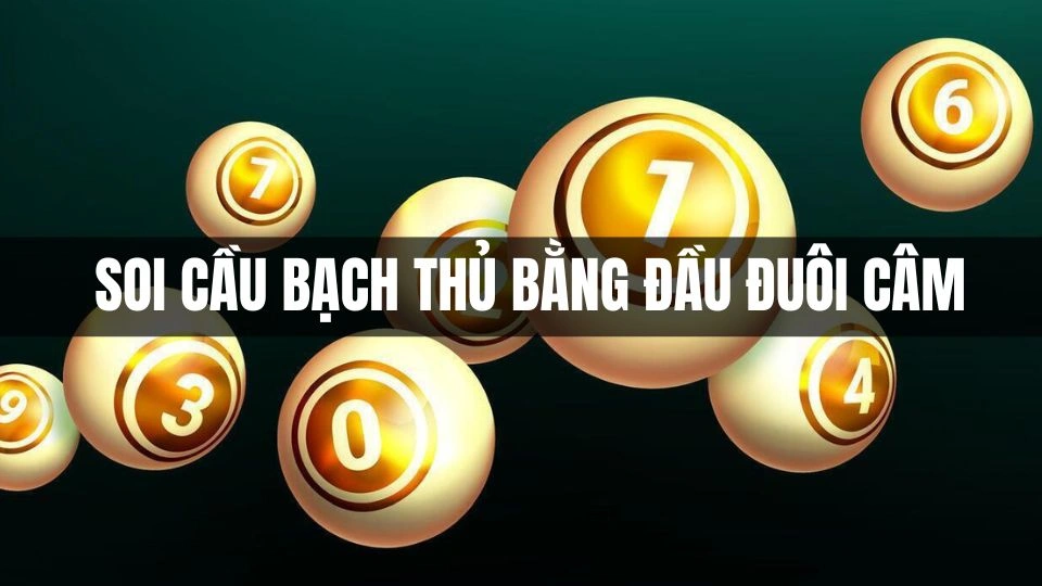 Bắt lô bạch thủ bằng đầu và đuôi câm